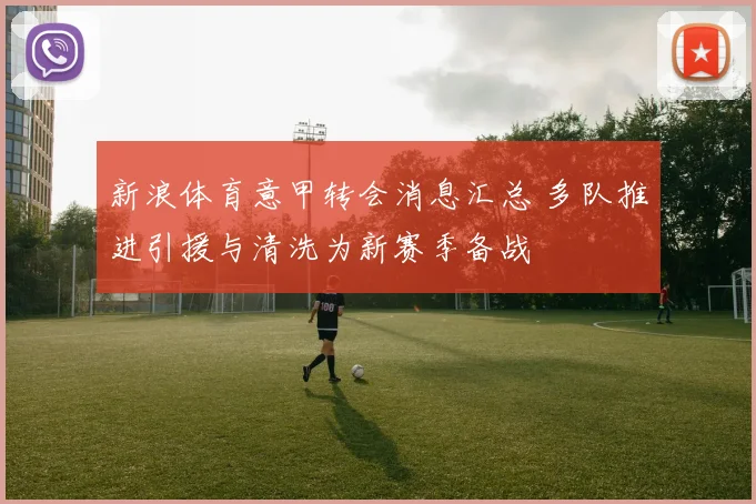 新浪体育意甲转会消息汇总 多队推进引援与清洗为新赛季备战
