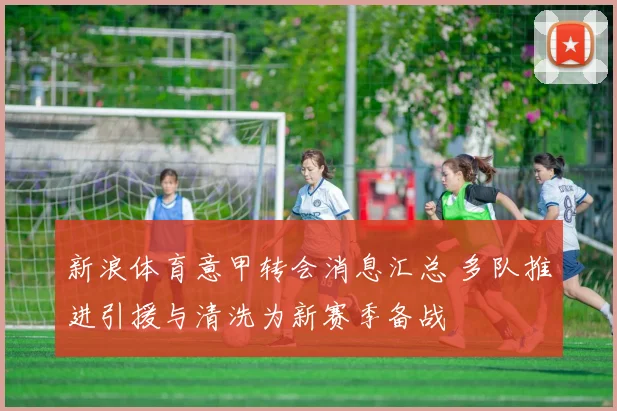 新浪体育意甲转会消息汇总 多队推进引援与清洗为新赛季备战